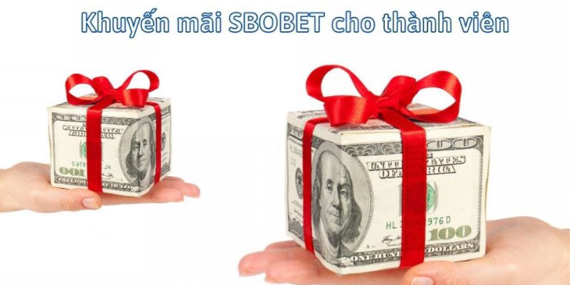 Tiền thưởng Sbobet được dùng làm gì?